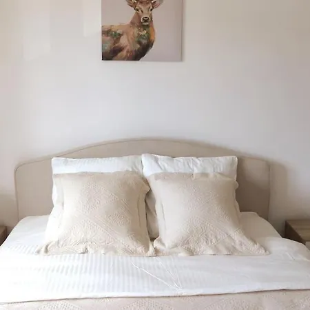 Avec 2 Et Parking Privé Apartamento